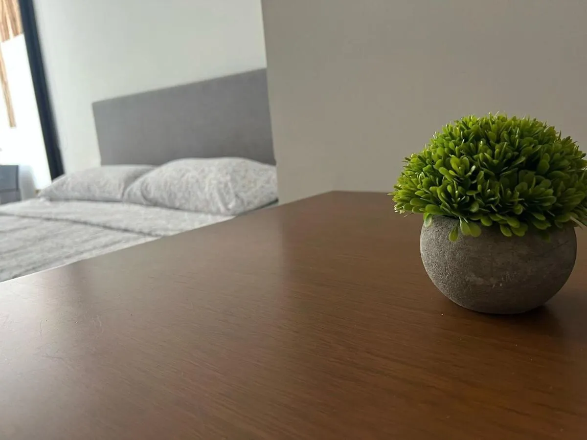 Menesse 38 Apartment Playa del Carmen Mexico